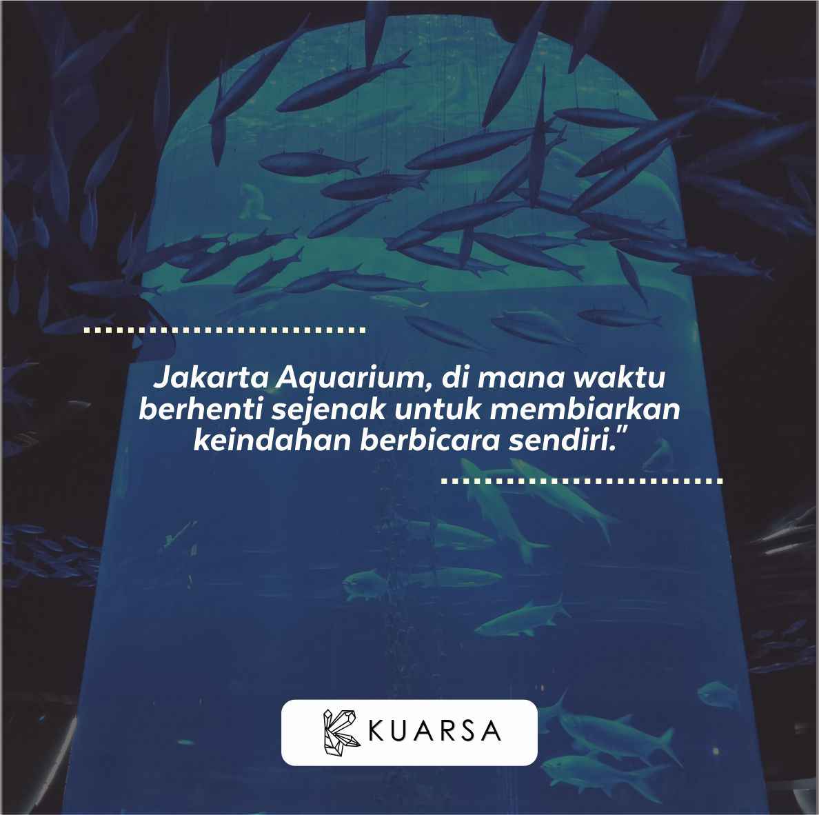 20 Quotes Aesthetic Liburan di Jakarta Aquarium, Bisa Untuk Caption Instagram Keren