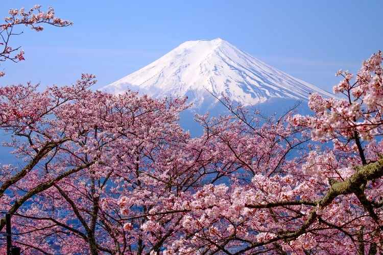 Arti Mimpi Naik Gunung Fuji, Bermakna Banjir Rezeki?