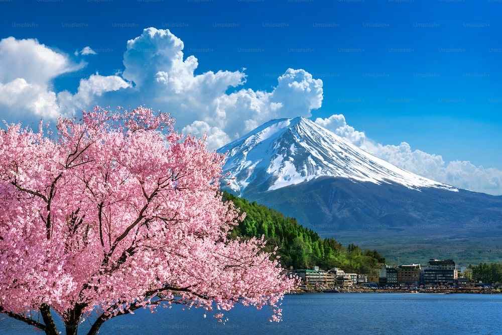 Arti Mimpi Naik Gunung Fuji, Bermakna Banjir Rezeki?