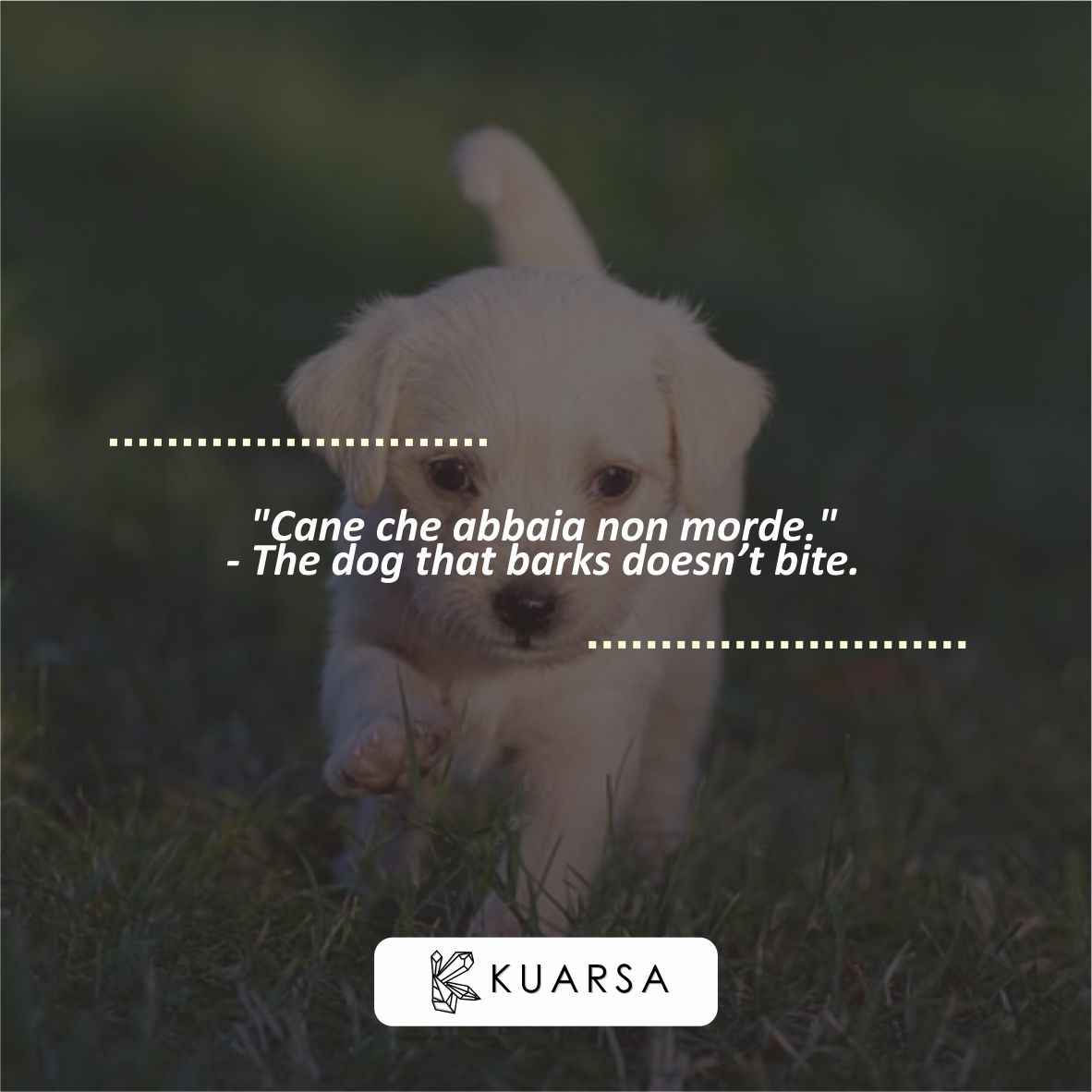 Italian Quotes for Humor