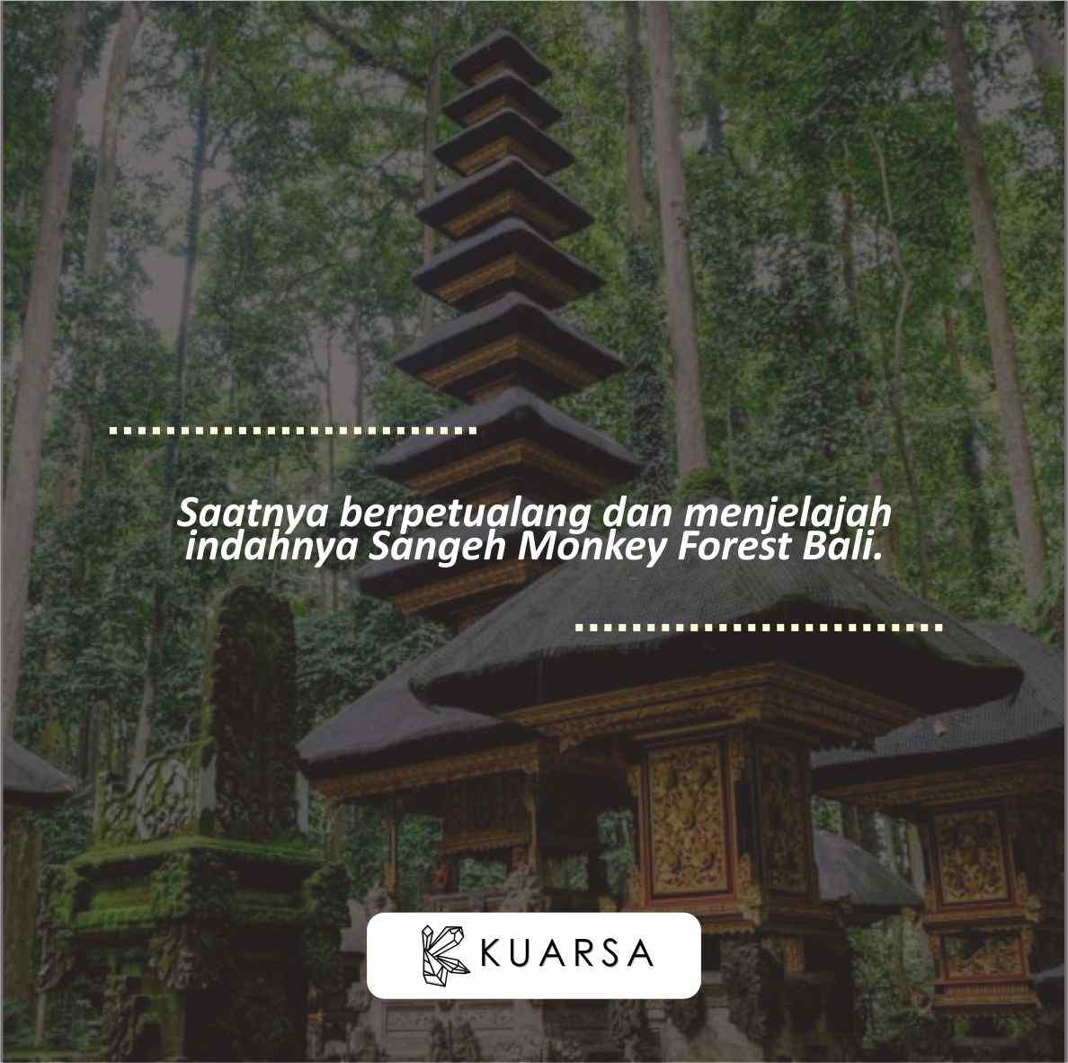 20 Quotes Aesthetic Liburan di Sangeh Monkey Forest Bali, Bisa Untuk Caption Instagram Keren