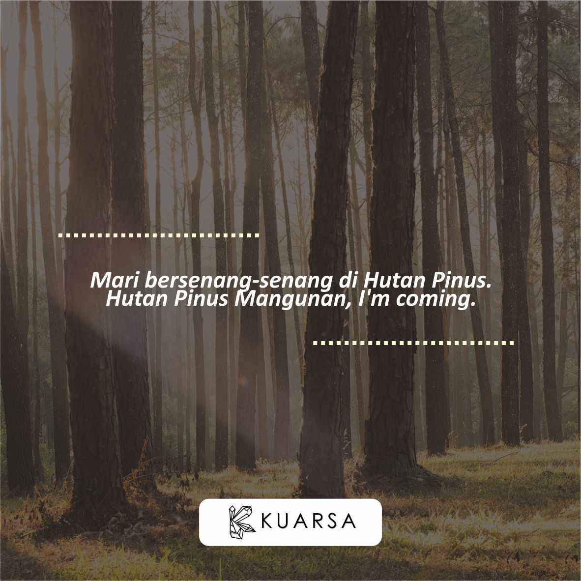 20 Quotes Aesthetic Liburan di Hutan Pinus Mangunan, Bisa Untuk Caption Instagram Keren